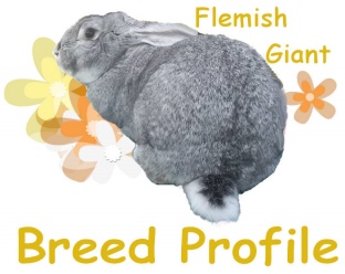 CLICK HERE TO SEE THE BREED PROFILE